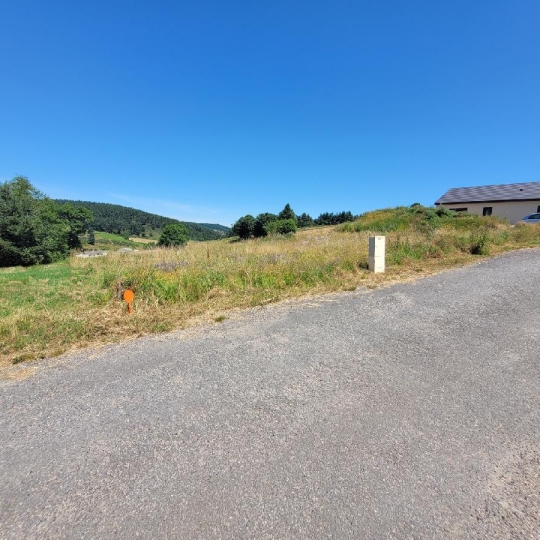  AGENCE IMMOBILIERE LANGONAISE : Ground | CHAUDEYRAC (48170) | 612 m2 | 18 000 € 