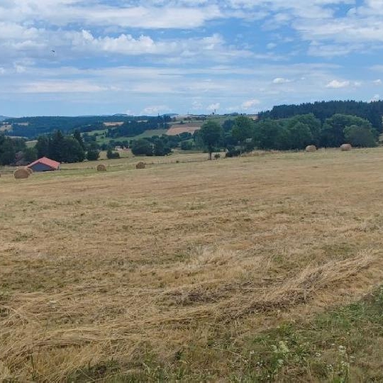  AGENCE IMMOBILIERE LANGONAISE : Terrain | CHAMBON-LE-CHATEAU (48600) | 1 150 m2 | 20 250 € 