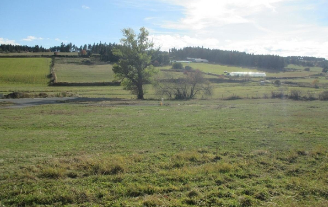 AGENCE IMMOBILIERE LANGONAISE : Terrain | GRANDRIEU (48600) | 1 500 m2 | 39 300 € 