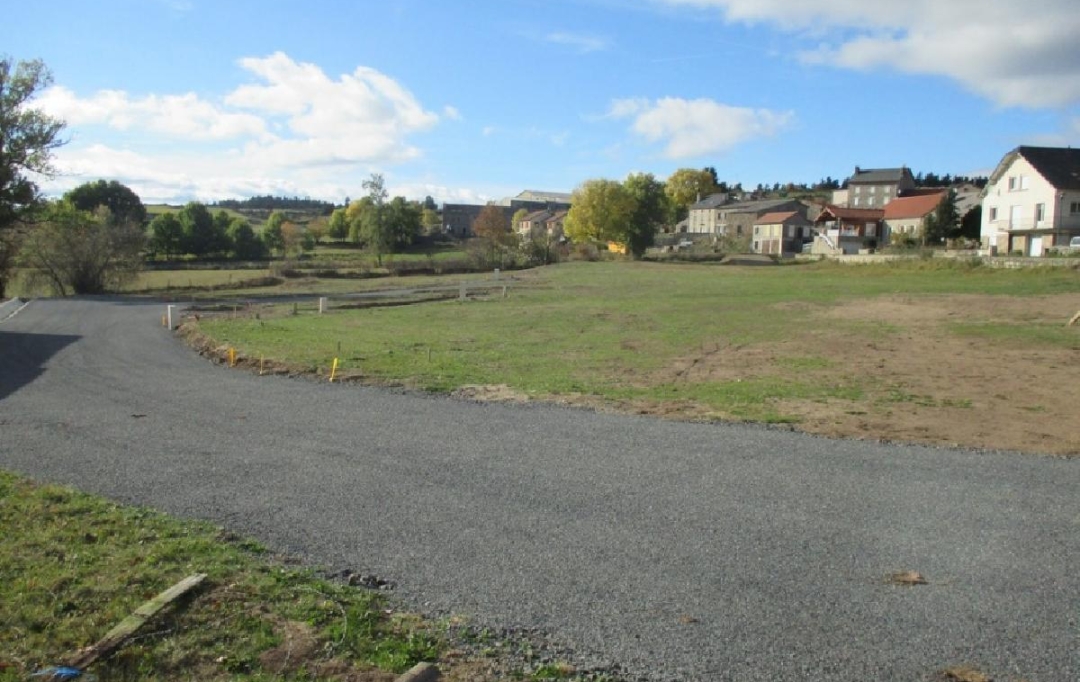 AGENCE IMMOBILIERE LANGONAISE : Terrain | GRANDRIEU (48600) | 1 500 m2 | 39 300 € 