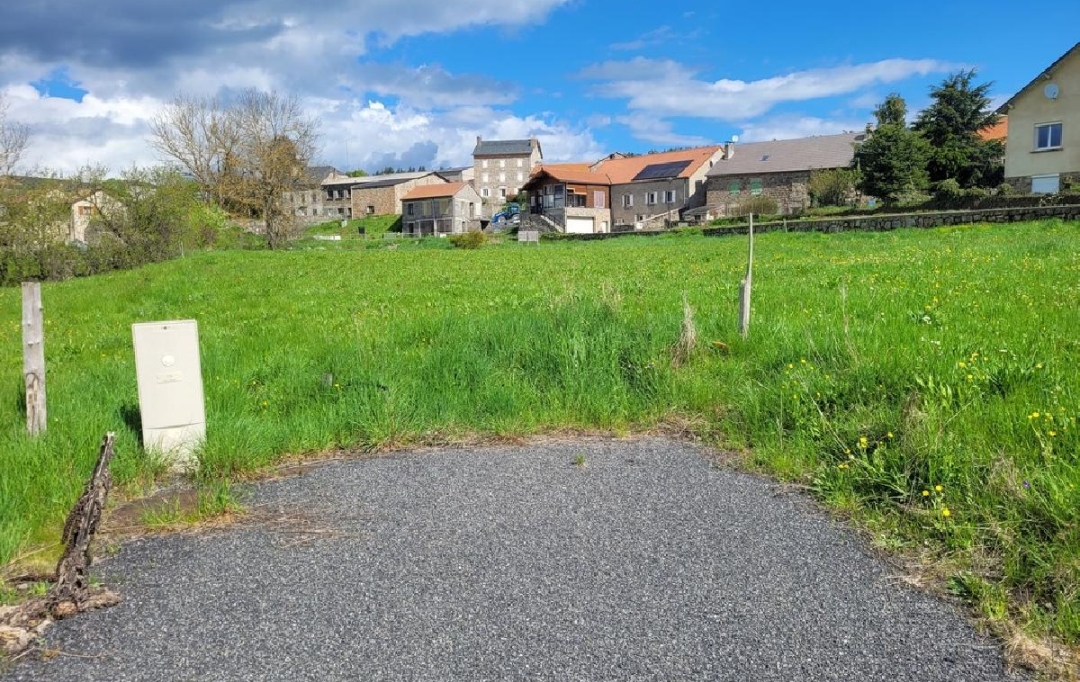 AGENCE IMMOBILIERE LANGONAISE : Terrain | GRANDRIEU (48600) | 1 047 m2 | 29 000 € 