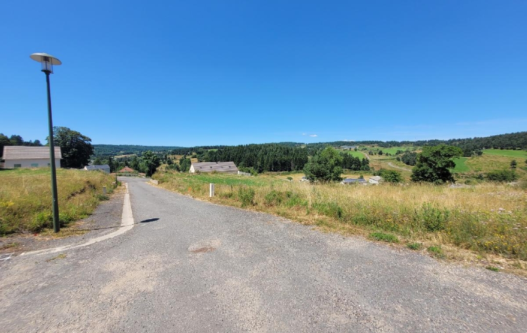 AGENCE IMMOBILIERE LANGONAISE : Ground | CHAUDEYRAC (48170) | 612 m2 | 18 000 € 