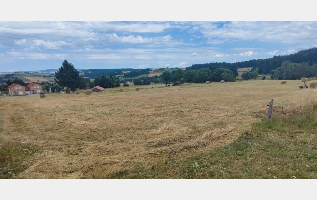 AGENCE IMMOBILIERE LANGONAISE : Terrain | CHAMBON-LE-CHATEAU (48600) | 1 150 m2 | 20 250 € 