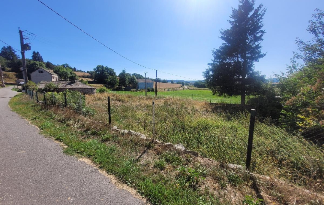 AGENCE IMMOBILIERE LANGONAISE : Terrain | SAINT-SAUVEUR-DE-GINESTOUX (48170) | 660 m2 | 12 000 € 