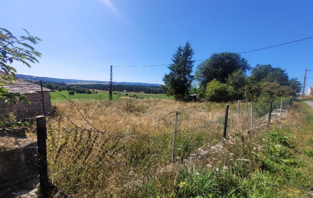 AGENCE IMMOBILIERE LANGONAISE : Terrain | SAINT-SAUVEUR-DE-GINESTOUX (48170) | 660 m2 | 12 000 € 